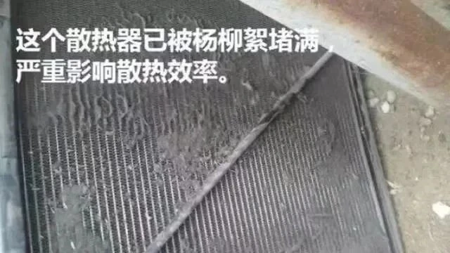 d0b9c2cea3666f0953a10908a569bf6f.jpg d0b9c2cea3666f0953a10908a569bf6f.jpg